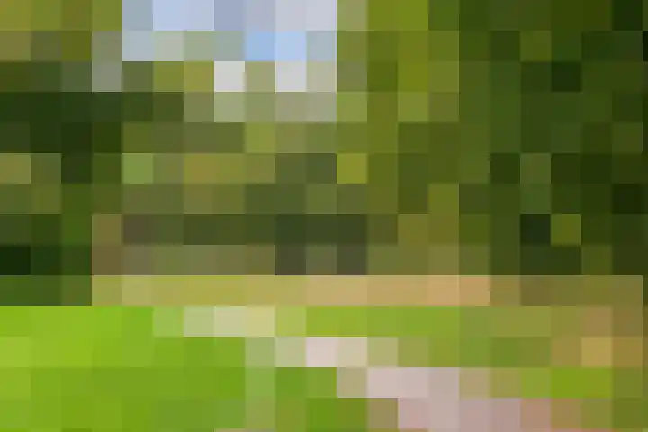 Drieskensacker 1054 Nijmegen thumbnail 28