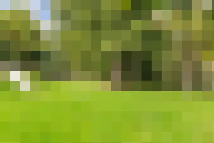 Drieskensacker 1054 Nijmegen thumbnail 29
