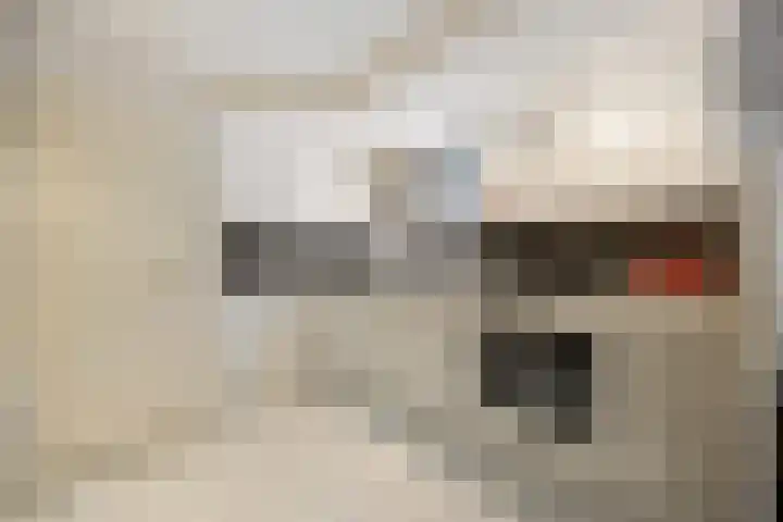 Drieslag 27 Huissen thumbnail 10