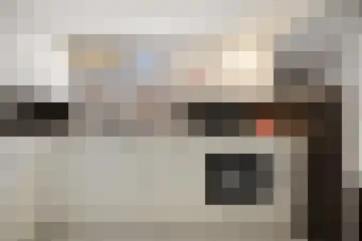 Drieslag 27 Huissen thumbnail 11