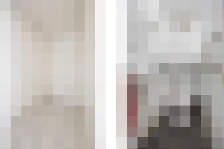 Drieslag 27 Huissen thumbnail 12