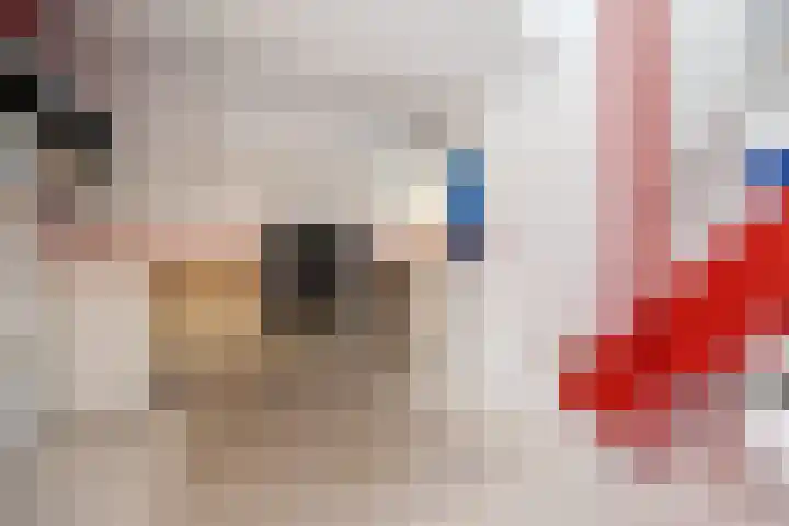 Drieslag 27 Huissen thumbnail 15