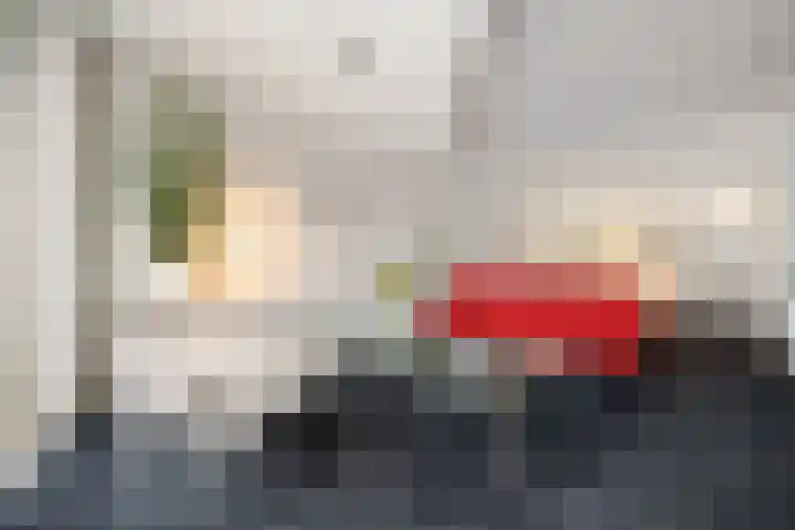 Drieslag 27 Huissen thumbnail 17