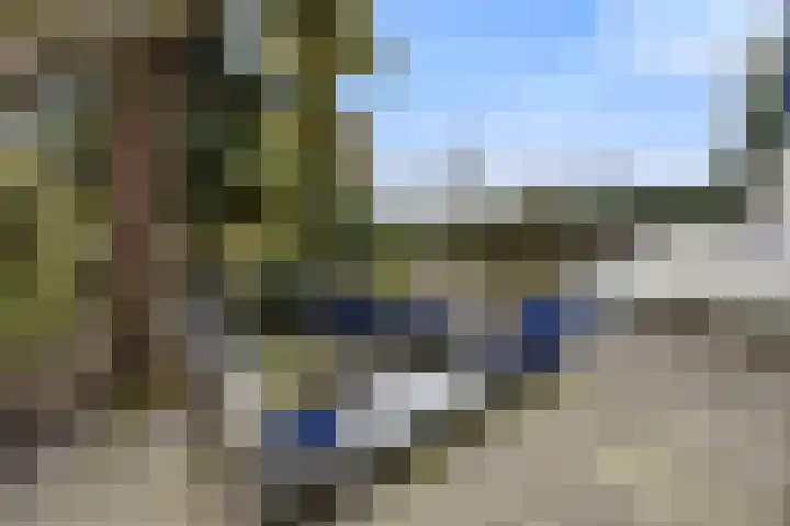 Drieslag 27 Huissen thumbnail 23