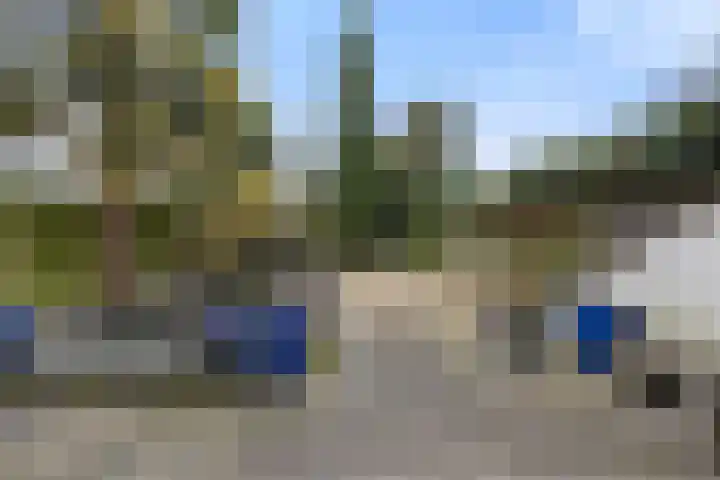 Drieslag 27 Huissen thumbnail 25