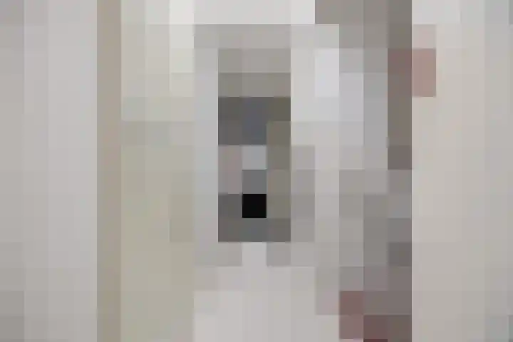 Drieslag 27 Huissen thumbnail 27