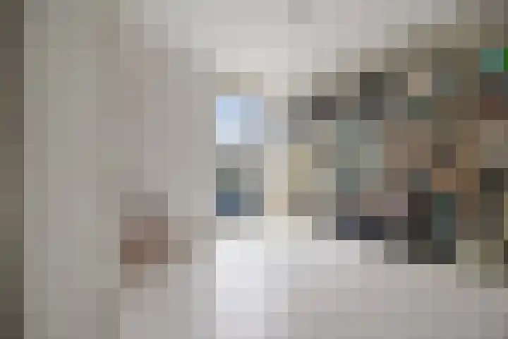 Drieslag 27 Huissen thumbnail 29