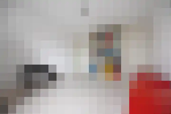 Drieslag 27 Huissen thumbnail 34