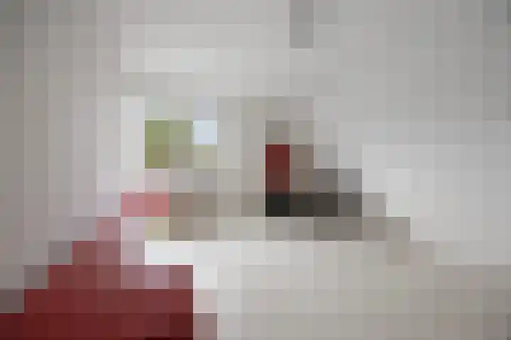 Drieslag 27 Huissen thumbnail 35