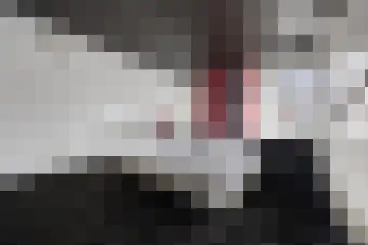 Drieslag 27 Huissen thumbnail 39