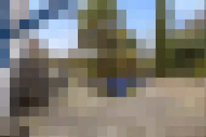 Drieslag 27 Huissen thumbnail 4
