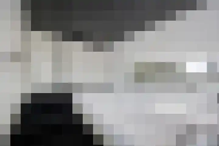 Drieslag 27 Huissen thumbnail 40