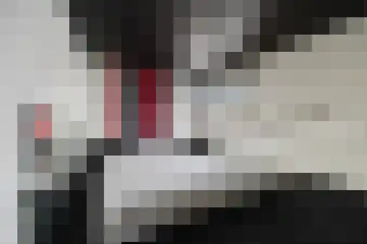 Drieslag 27 Huissen thumbnail 41