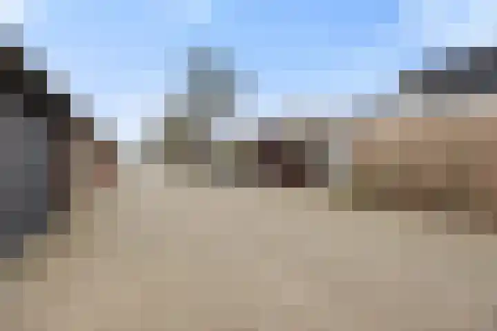 Drieslag 27 Huissen thumbnail 43