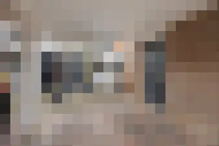 Drieslag 27 Huissen thumbnail 6