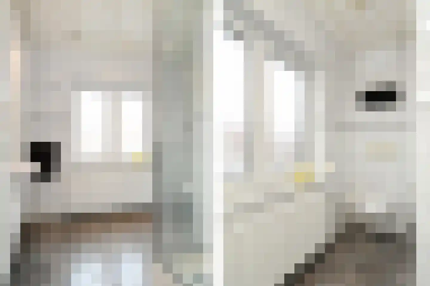 Drieslagstraat 14 Weert thumbnail 20