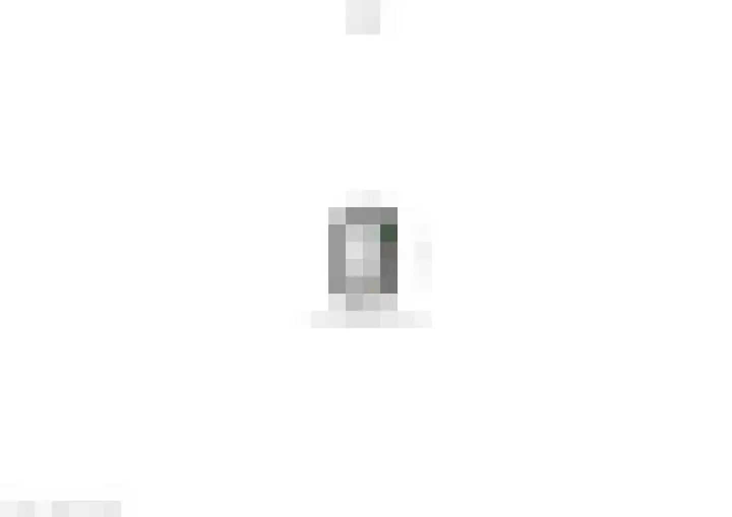 Drieslagstraat 14 Weert thumbnail 46