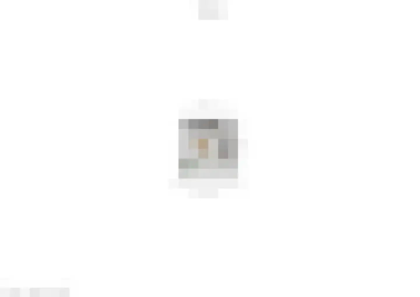 Drieslagstraat 14 Weert thumbnail 48