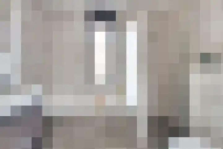 Driesprong 1 Ermelo thumbnail 22