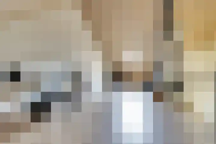 Driesprong 1 Ermelo thumbnail 25