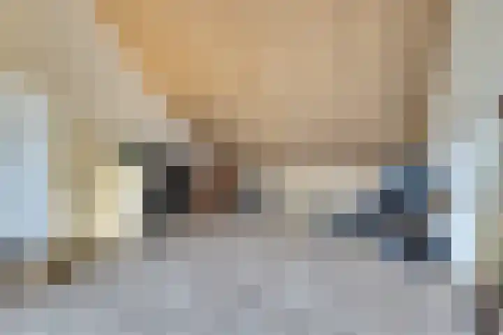 Driesprong 1 Ermelo thumbnail 26