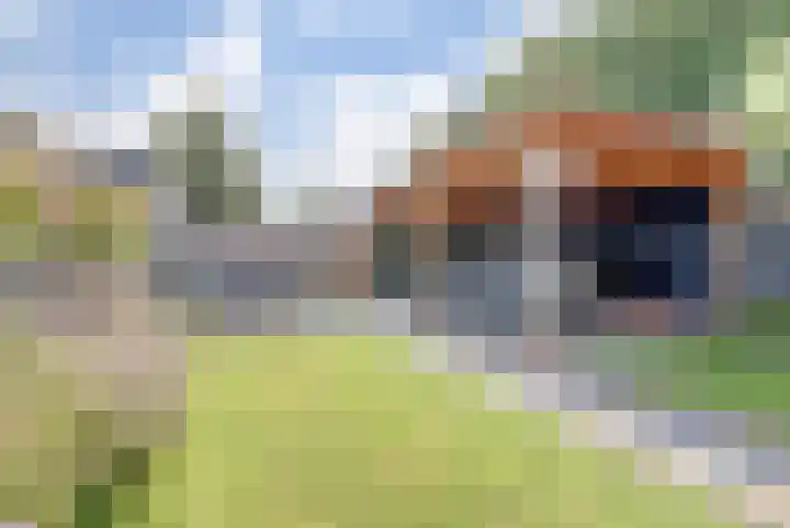 Driesprong 1 Ermelo thumbnail 27