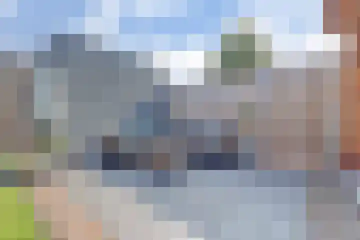 Driesprong 1 Ermelo thumbnail 28