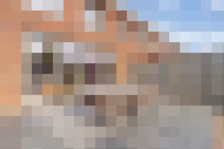 Driesprong 1 Ermelo thumbnail 30