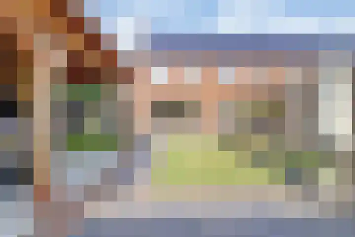 Driesprong 1 Ermelo thumbnail 31