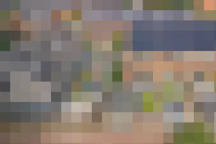 Driesprong 1 Ermelo thumbnail 32