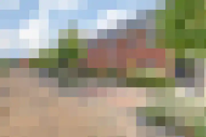 Driesprong 1 Ermelo thumbnail 33