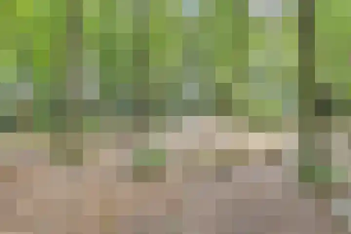 Driesprong 1 Ermelo thumbnail 34