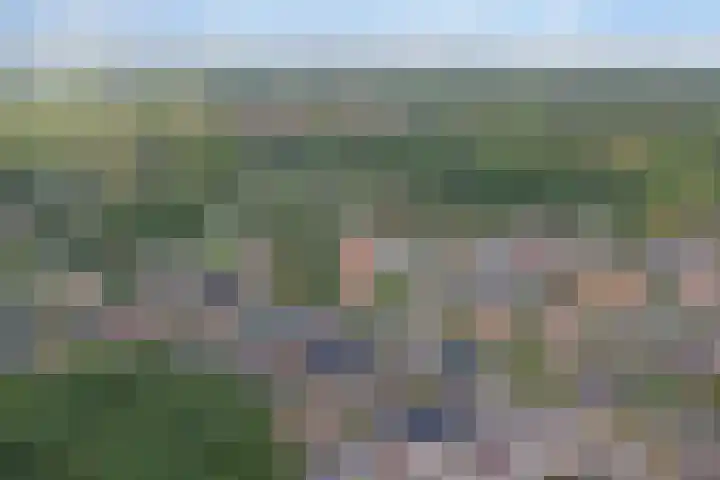 Driesprong 1 Ermelo thumbnail 35
