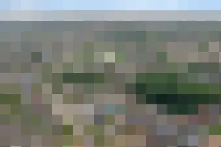 Driesprong 1 Ermelo thumbnail 36