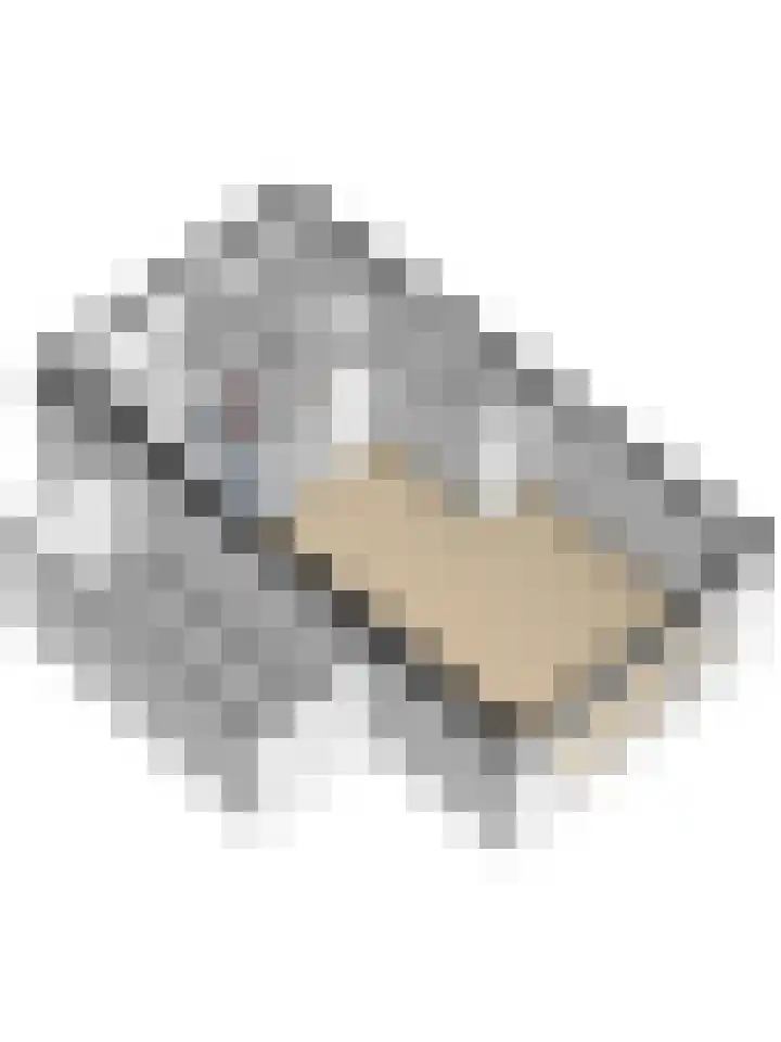 Driesprong 1 Ermelo thumbnail 38