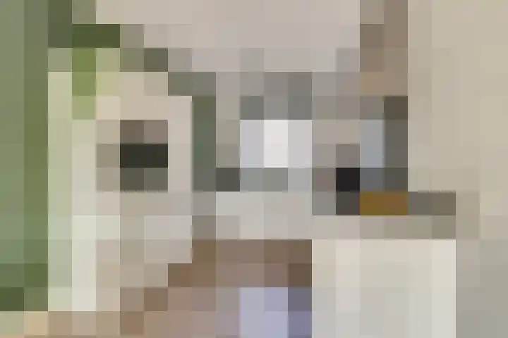 Driesprong 1 Ermelo thumbnail 4