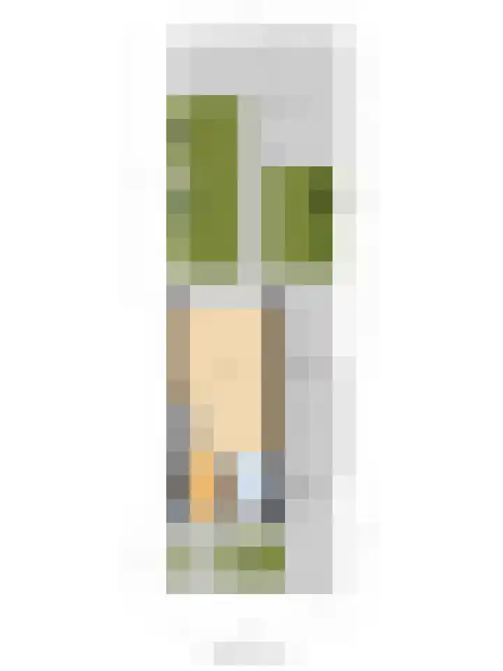 Driesprong 1 Ermelo thumbnail 43