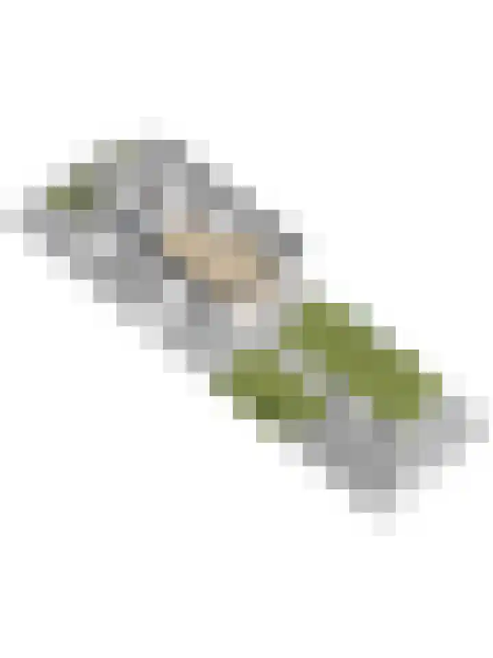 Driesprong 1 Ermelo thumbnail 44