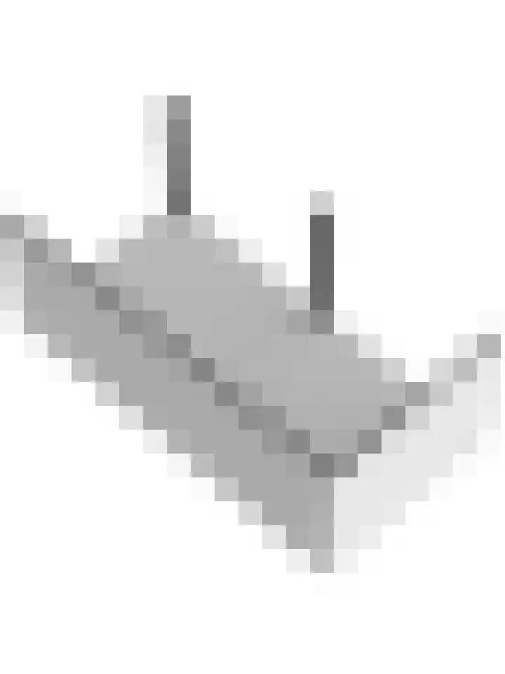 Driesprong 1 Ermelo thumbnail 46