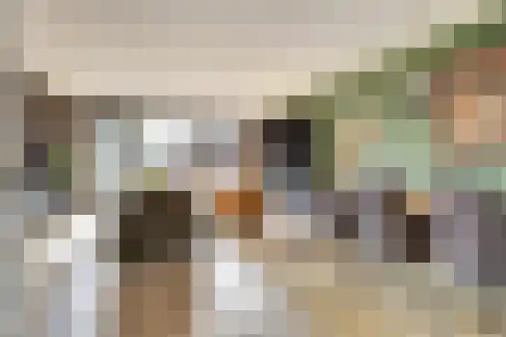 Driesprong 1 Ermelo thumbnail 7