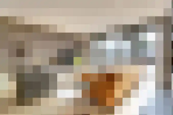 Driesprong 1 Ermelo thumbnail 8
