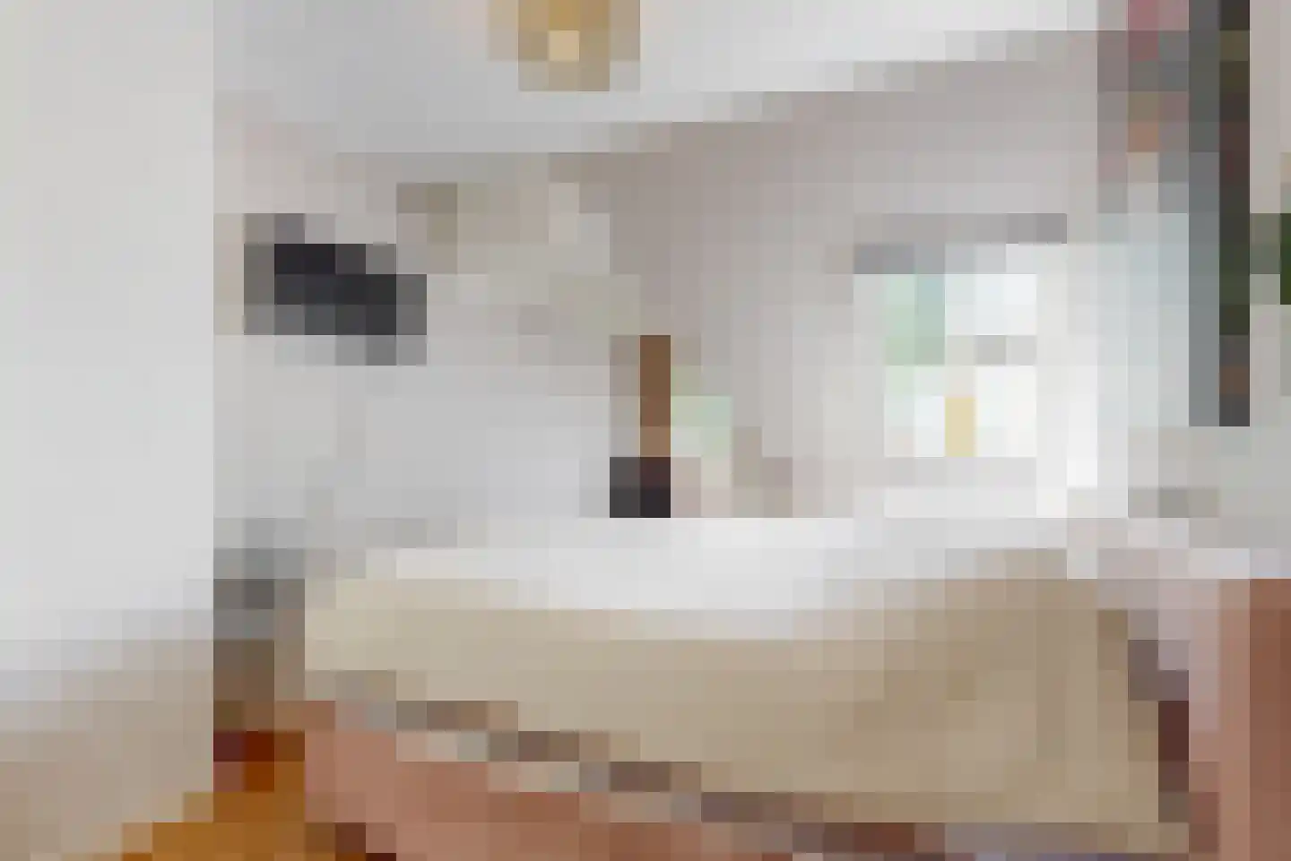 Driesprong 12 Wervershoof thumbnail 20