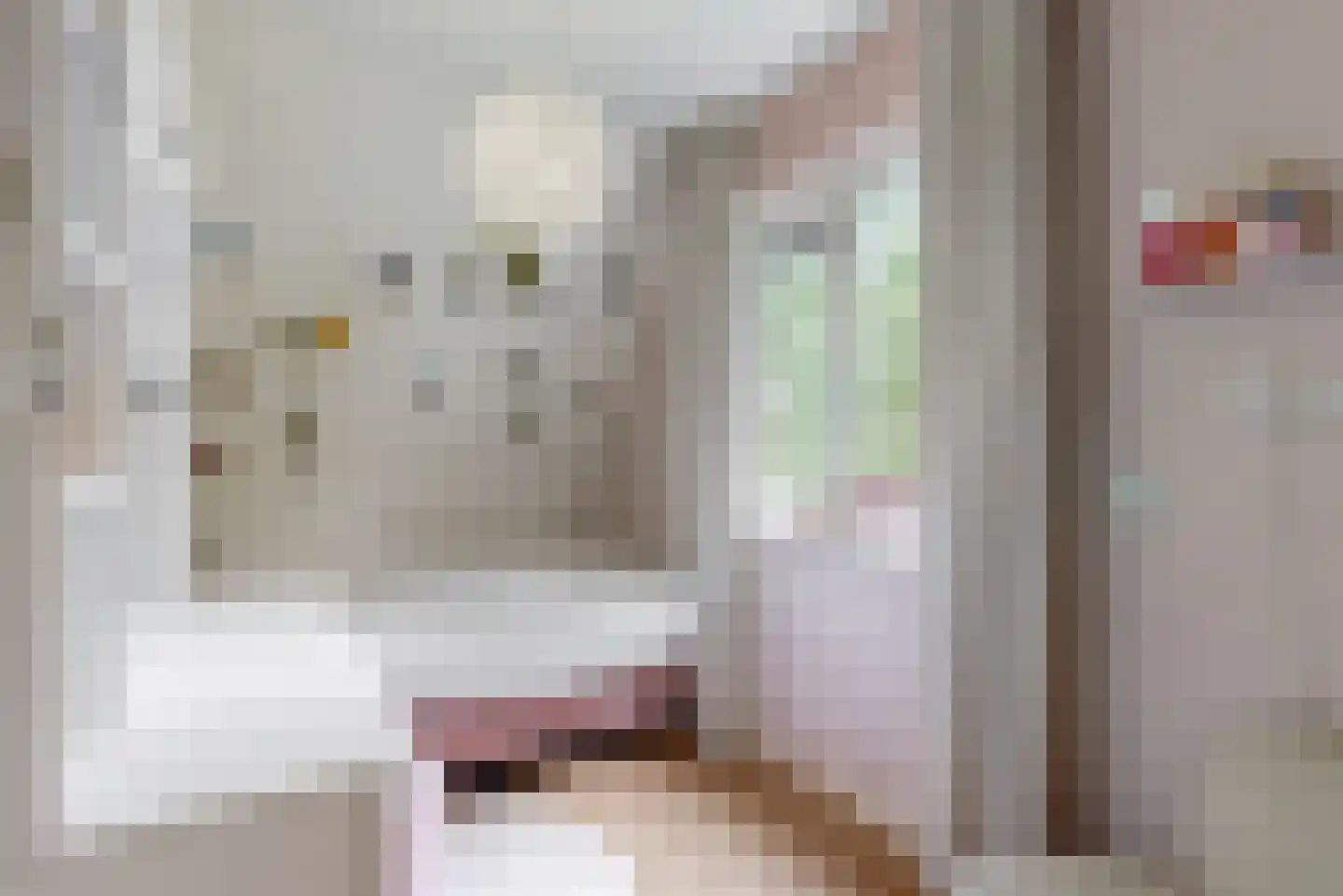 Driesprong 12 Wervershoof thumbnail 24