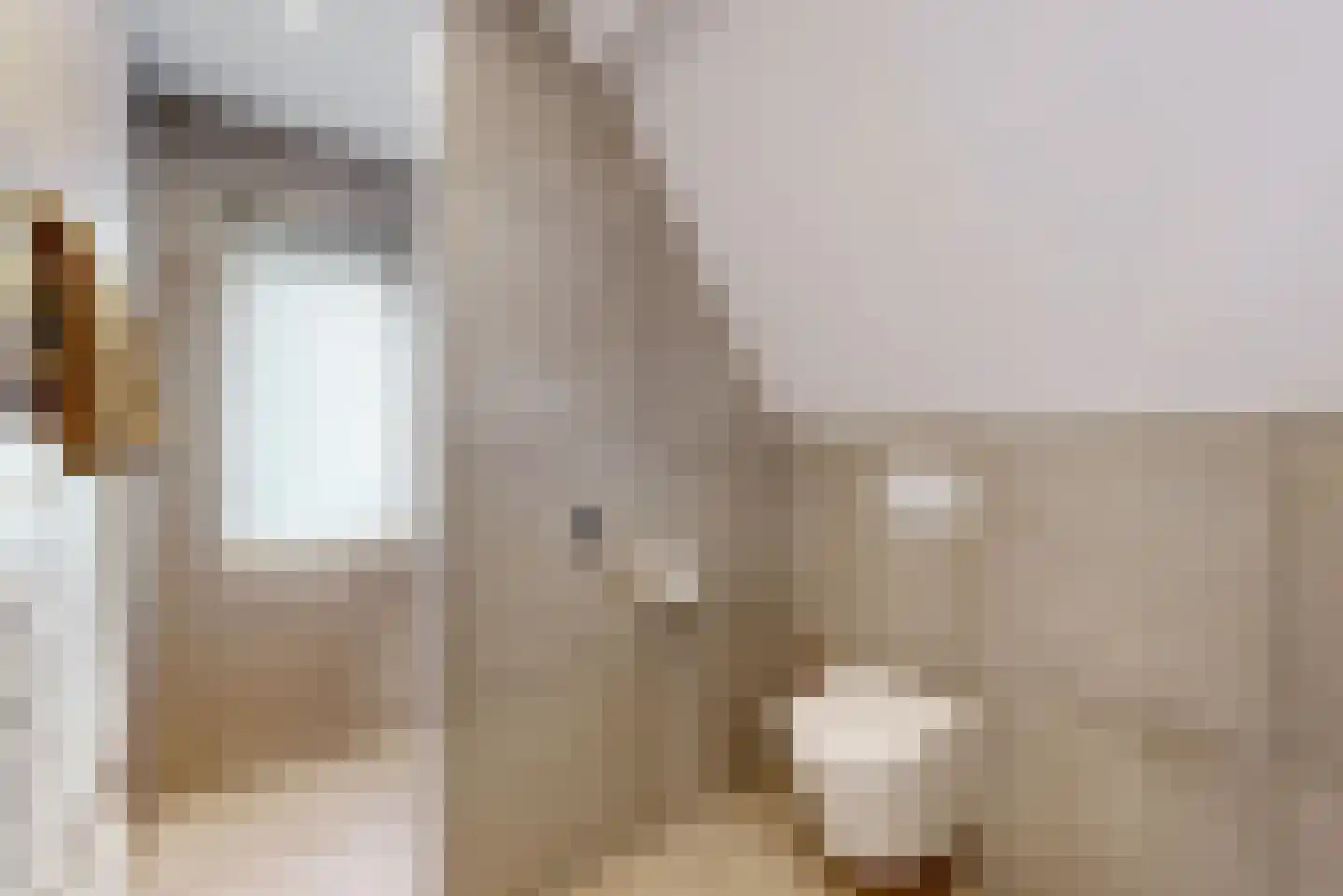 Driesprong 12 Wervershoof thumbnail 25