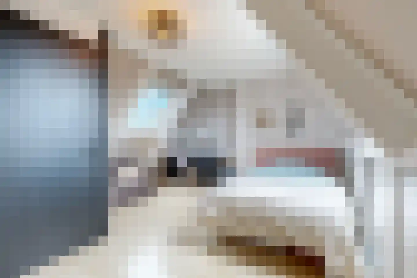 Driesprong 12 Wervershoof thumbnail 29