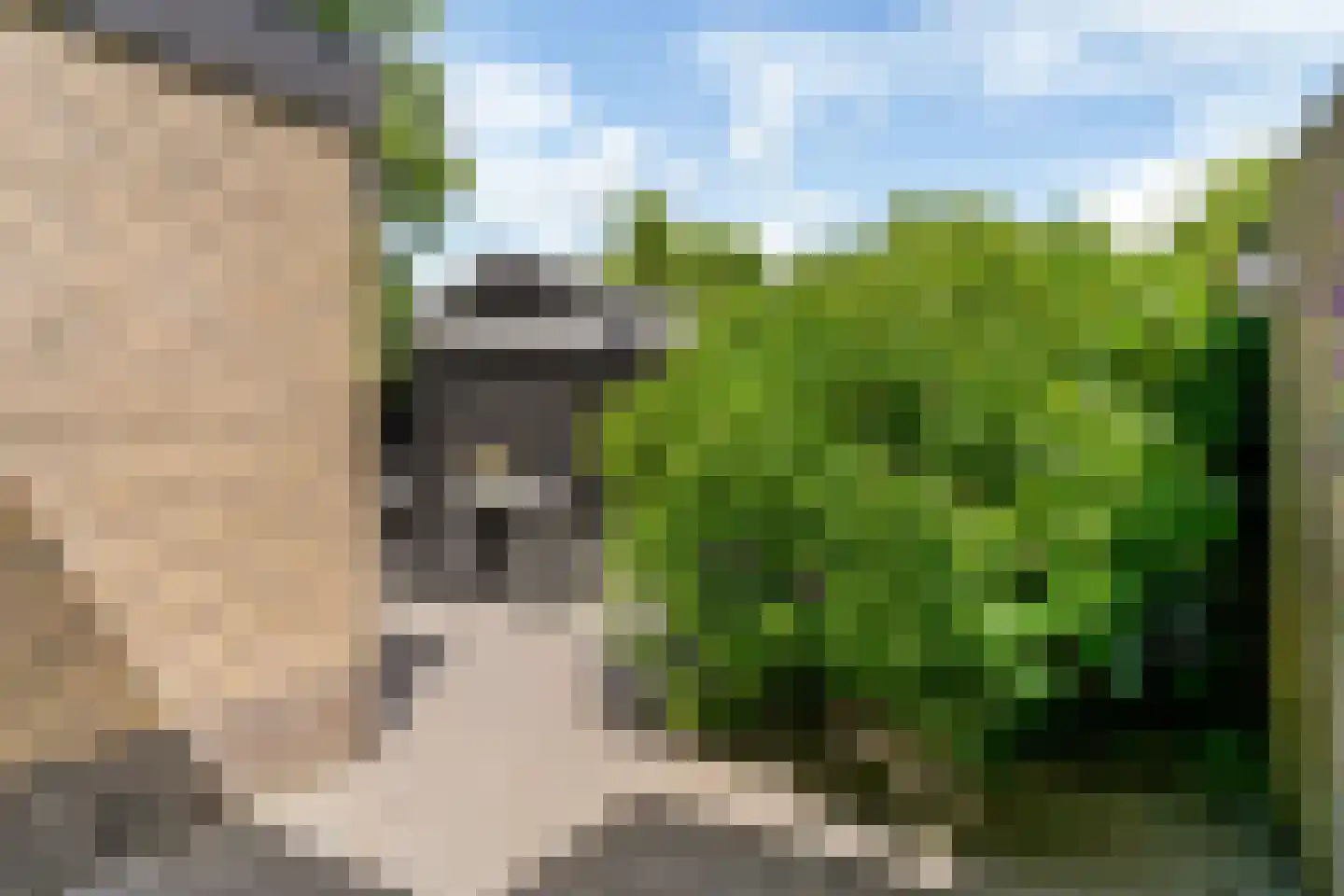 Driesprong 12 Wervershoof thumbnail 37