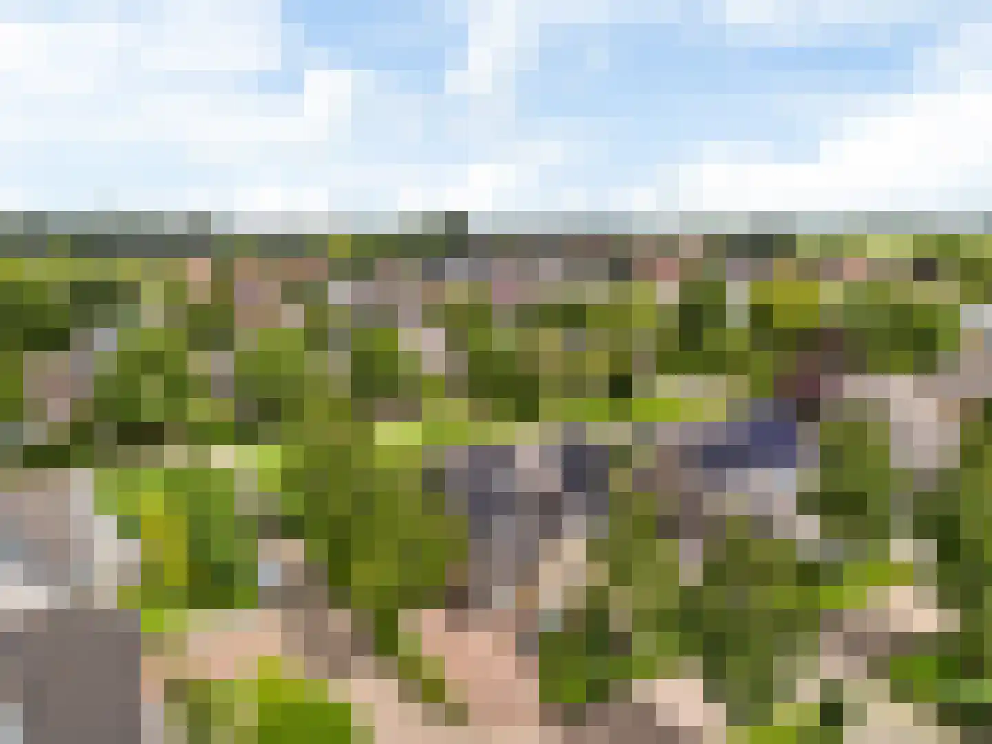 Driesprong 12 Wervershoof thumbnail 4
