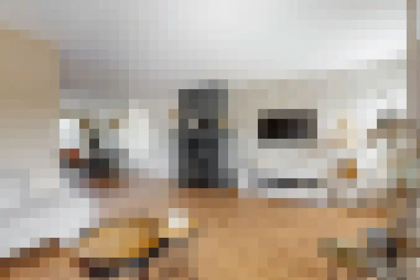 Driesprong 12 Wervershoof thumbnail 7
