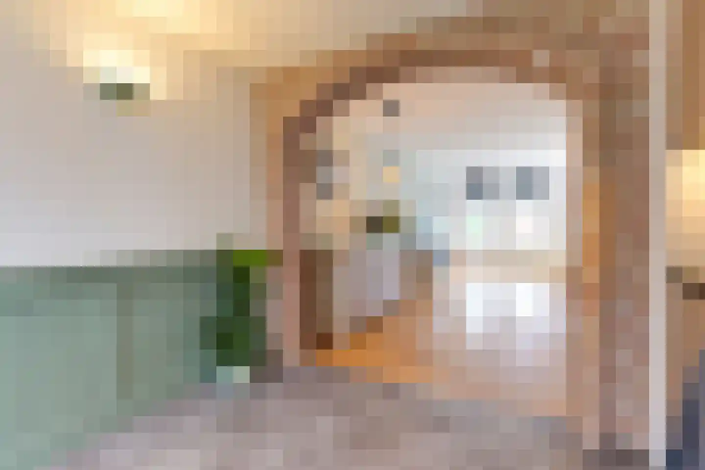 Driesprong 13 Wervershoof thumbnail 11