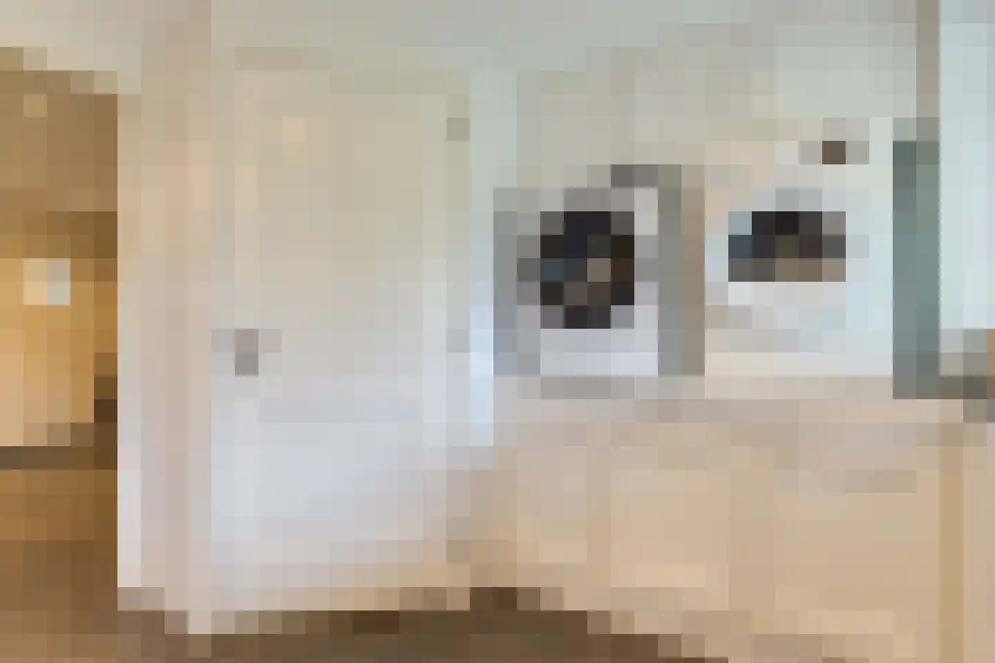 Driesprong 13 Wervershoof thumbnail 19